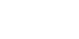 BRIJU briju.pl -BRIJU1920